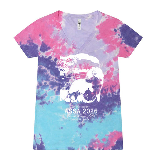 Tie Dye Womens V-Neck T-Shirt