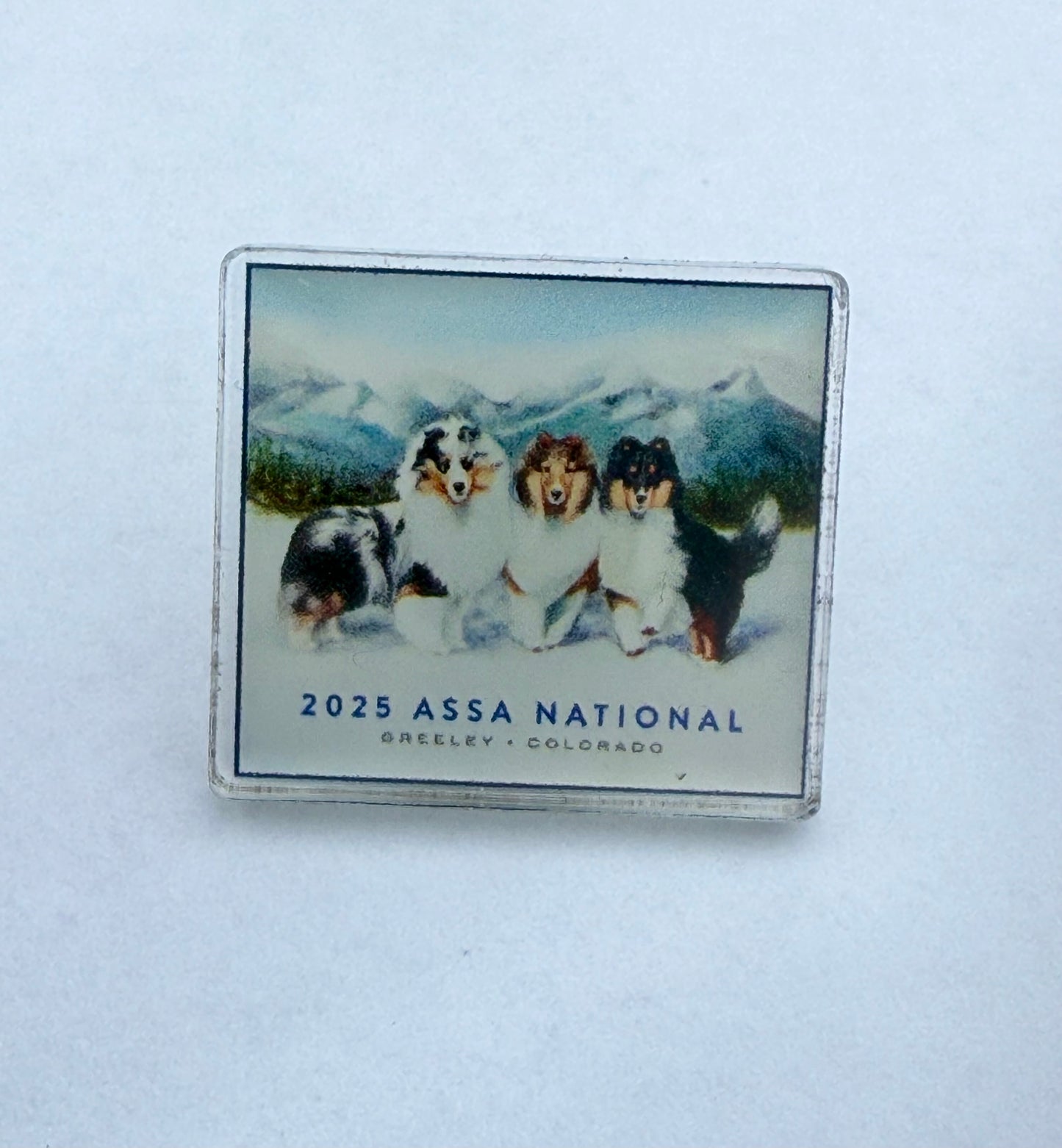2026 Acrylic Pin